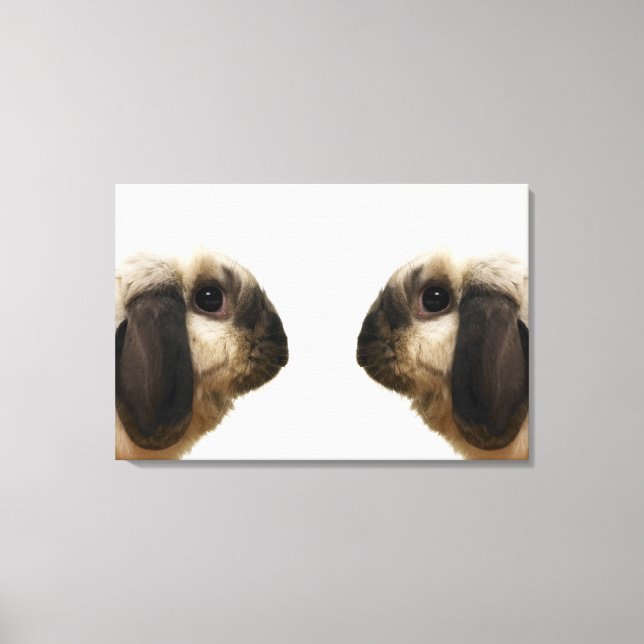 Rabbit looking at rabbit canvas print (Front)