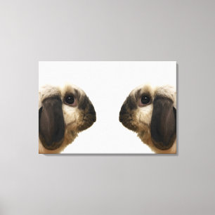 Rabbit looking at rabbit canvas print