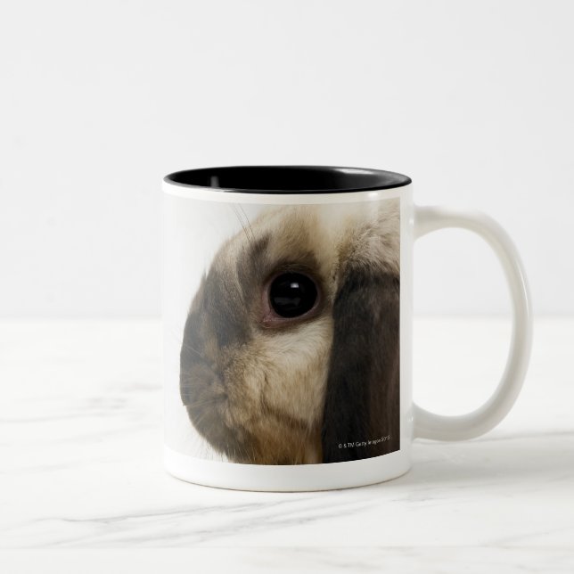 Rabbit looking at rabbit Two-Tone coffee mug (Right)