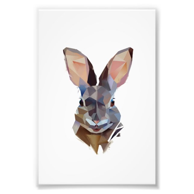 Rabbit Lovers | Art Drawing Bunny Gift Photo Print (Front)