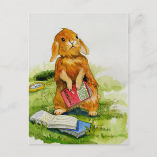 Rabbit loves to read Postcard