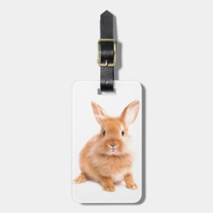 Rabbit Luggage Tag