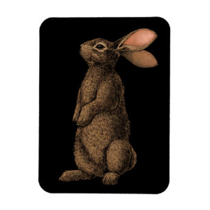 Rabbit Magnet