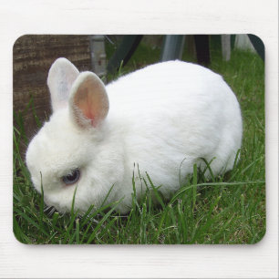 rabbit mouse mat
