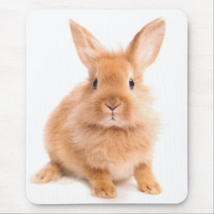 Rabbit Mouse Mat