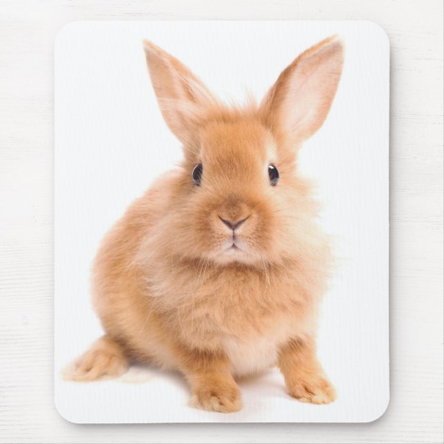 Rabbit Mouse Mat (Front)