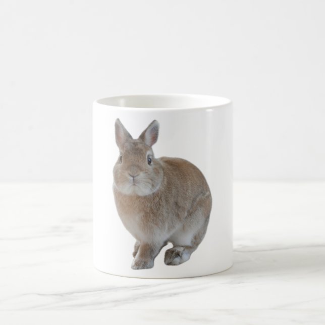 rabbit mug (Center)