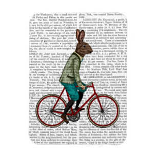 Rabbit On Bike 2 Magnet