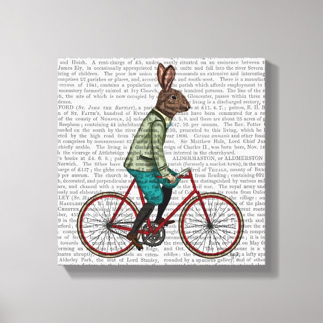 Rabbit On Bike Canvas Print (Front)