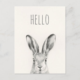 Rabbit Pencil Drawing - Hello Postcard