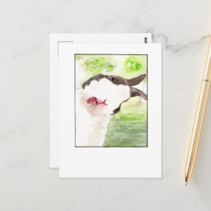 Rabbit Pet Selfie- DNM Postcards