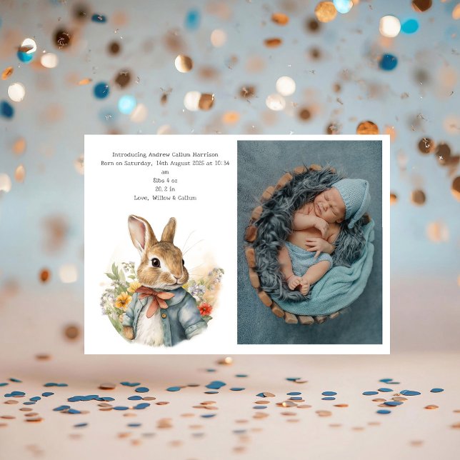 Rabbit Peter (Creator Uploaded)