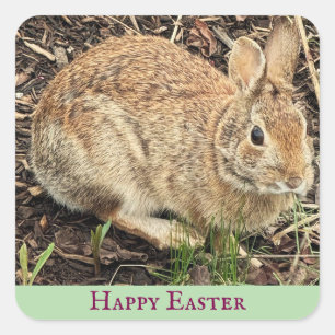 Rabbit Photo Stickers