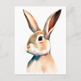 Rabbit Portrait 025 Postcard