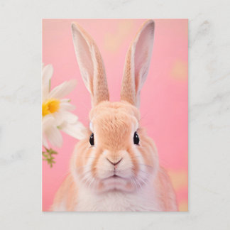 Rabbit Portrait 088 Postcard
