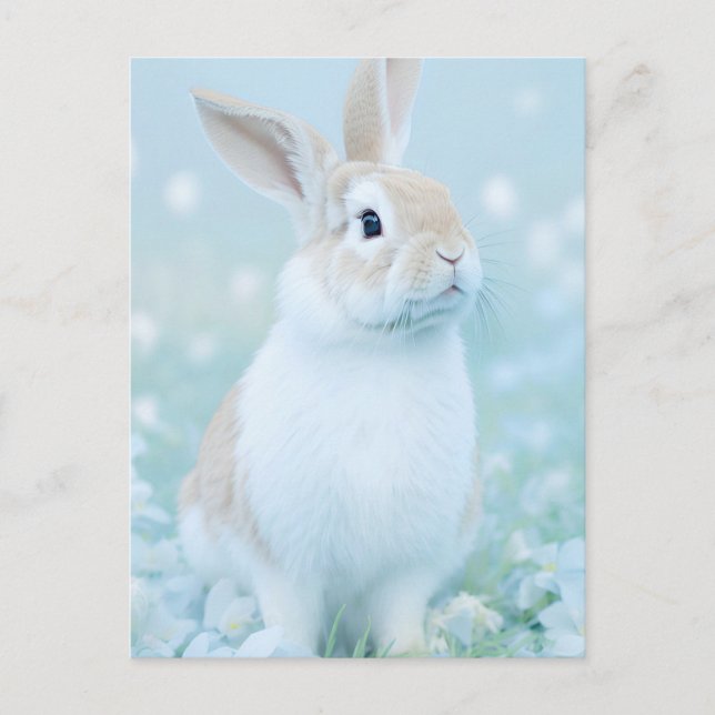 Rabbit Portrait 095 Postcard (Front)