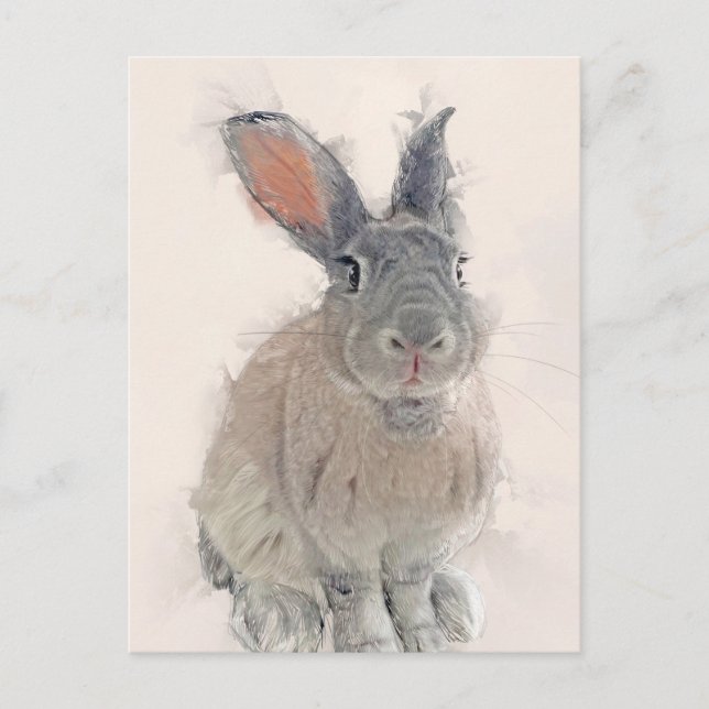Rabbit Portrait No.33 Postcard (Front)