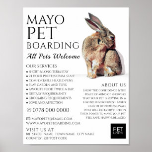 Rabbit Portrait, Pet Boarding Advertising Poster