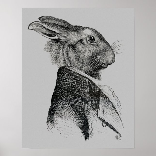 Rabbit Portrait Profile Poster (Front)