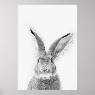 Rabbit Poster