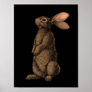 Rabbit Poster