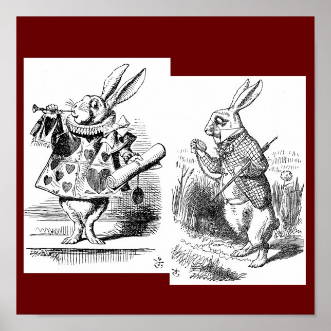 Rabbit Poster (Front)