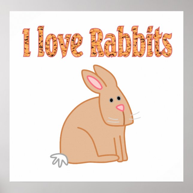 Rabbit Poster (Front)