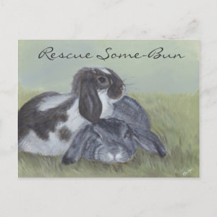 Rabbit Rescue Card
