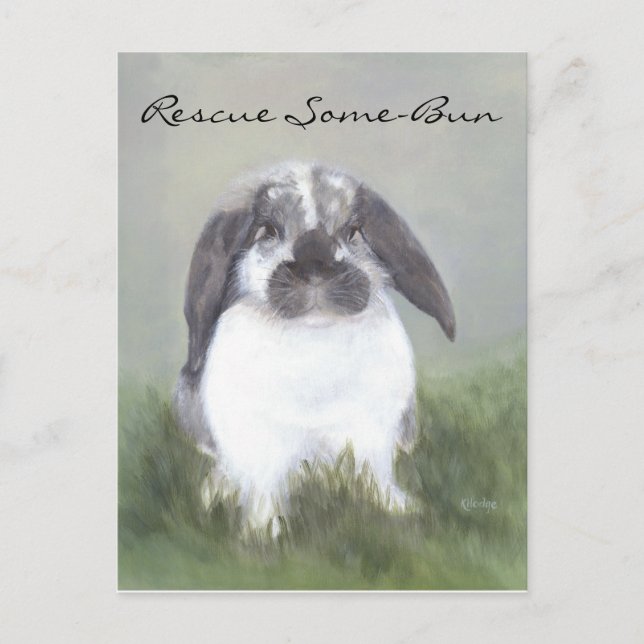 Rabbit Rescue Postcard (Front)