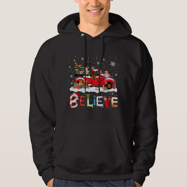 Rabbit Riding Red Truck Christmas Tree Believe San Hoodie (Front)