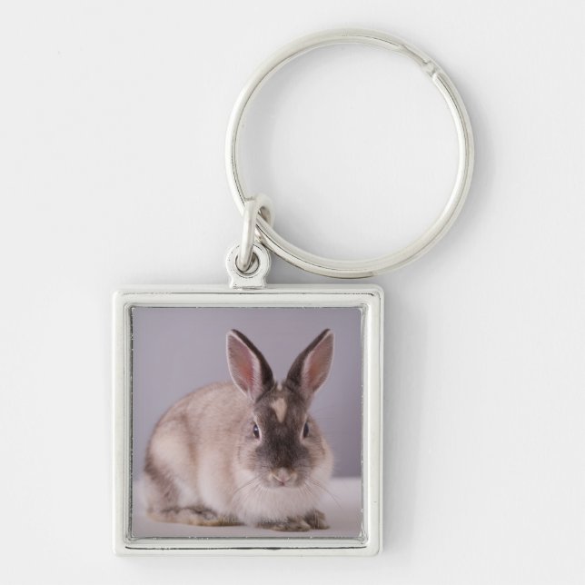 rabbit,simple background,animal,white table, key ring (Front)
