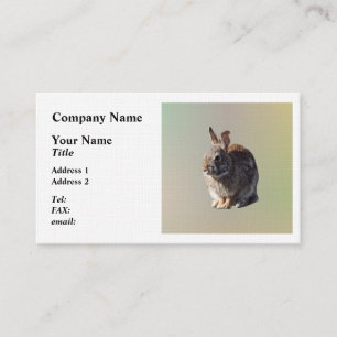Rabbit Sitting Business Card