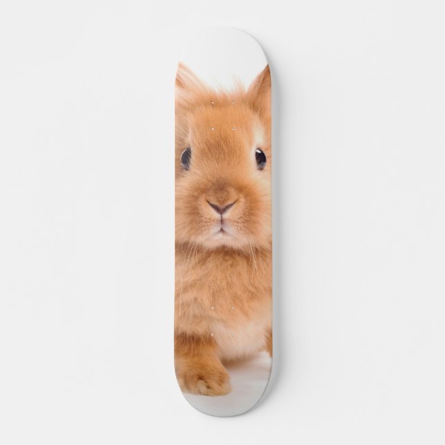 Rabbit Skateboard (Front)