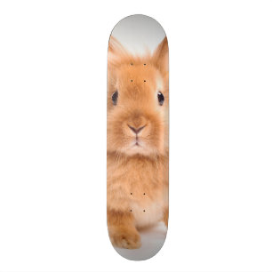 Rabbit Skateboard