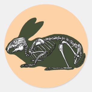 rabbit skeleton classic round sticker