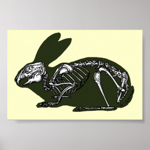 rabbit skeleton poster