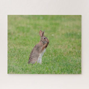 Rabbit standing in the grass and looking shy jigsaw puzzle