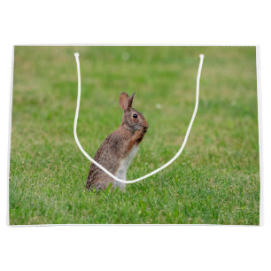 Rabbit standing in the grass and looking shy large gift bag
