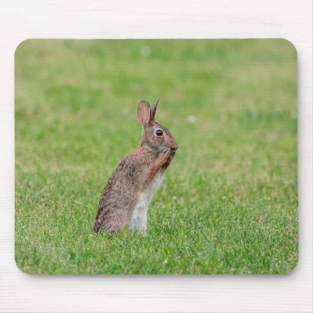 Rabbit standing in the grass and looking shy mouse mat (Front)