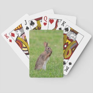 Rabbit standing in the grass and looking shy playing cards