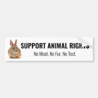 Rabbit Support Animal Rights