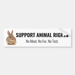 Rabbit Support Animal Rights Bumper Sticker