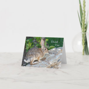 Rabbit Thank You Card