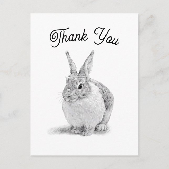Rabbit Thank You Postcard (Front)