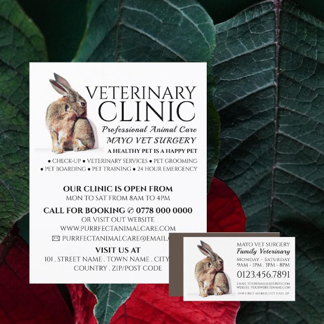 Rabbit, Veterinarian, Veterinary Service Business Card (Creator Uploaded)