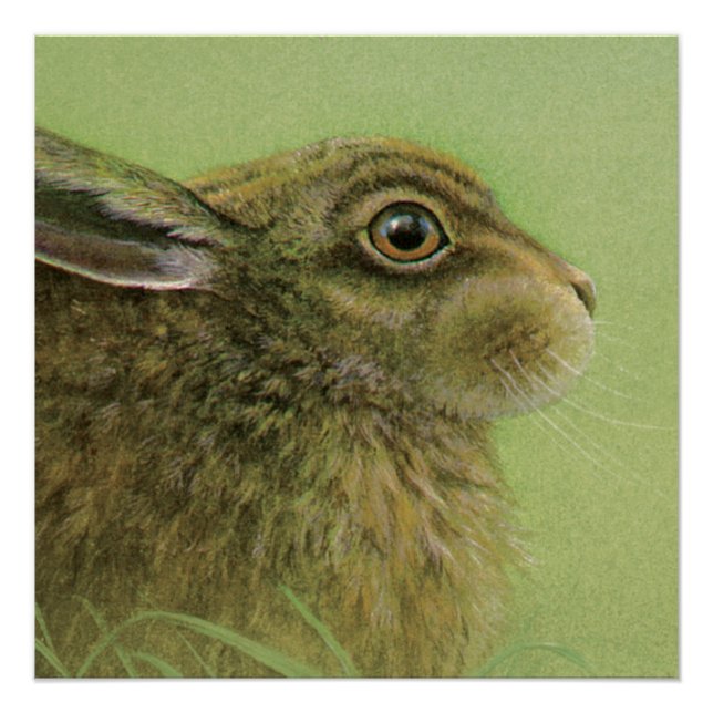 Rabbit wildlife fine art painting poster (Front)