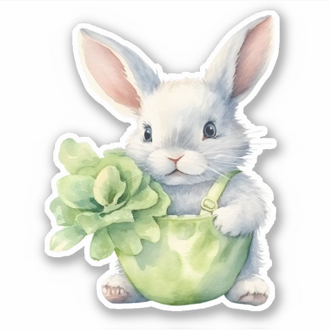 Rabbit with Cabbage (Front)