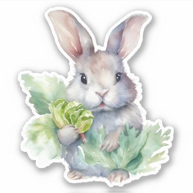 Rabbit with Cabbage (Front)