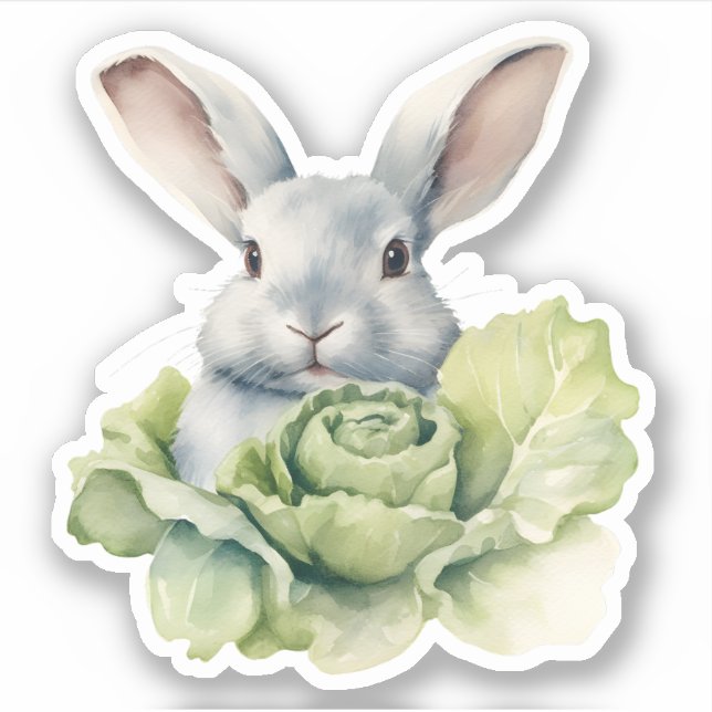 Rabbit with Cabbage (Front)