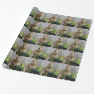 Rabbit Wrapping Paper